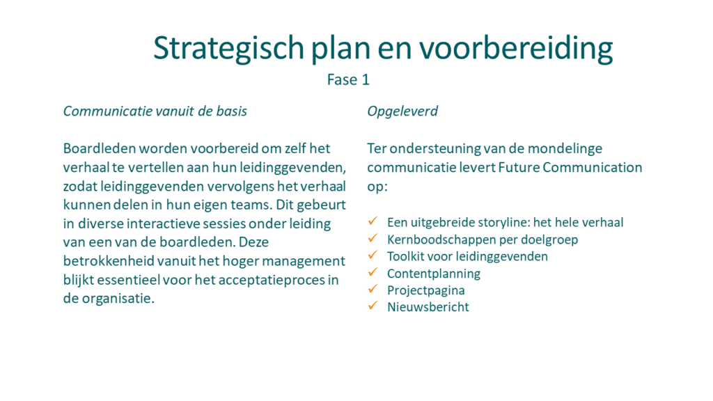 Fase 1, Strategisch plan en voorbereiding